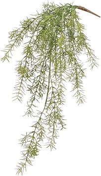 Allstate Soft Sprengeri Artificial Hanging Spray - 26" - Green