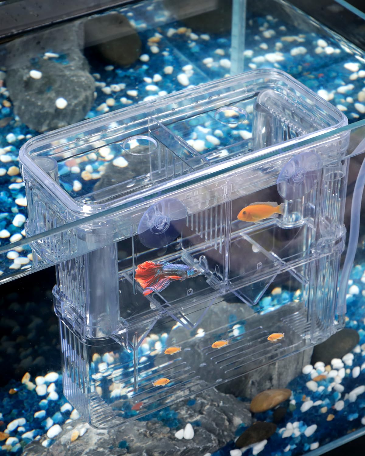 Pawfly Aquarium Fish Breeding Box Transparent Plastic Breeder Box for Fish Tank Fry Hatchery Incubator Hatching Box for Baby Fish Shrimp Betta Clownfish Large Isolation Box for Aggressive Guppy