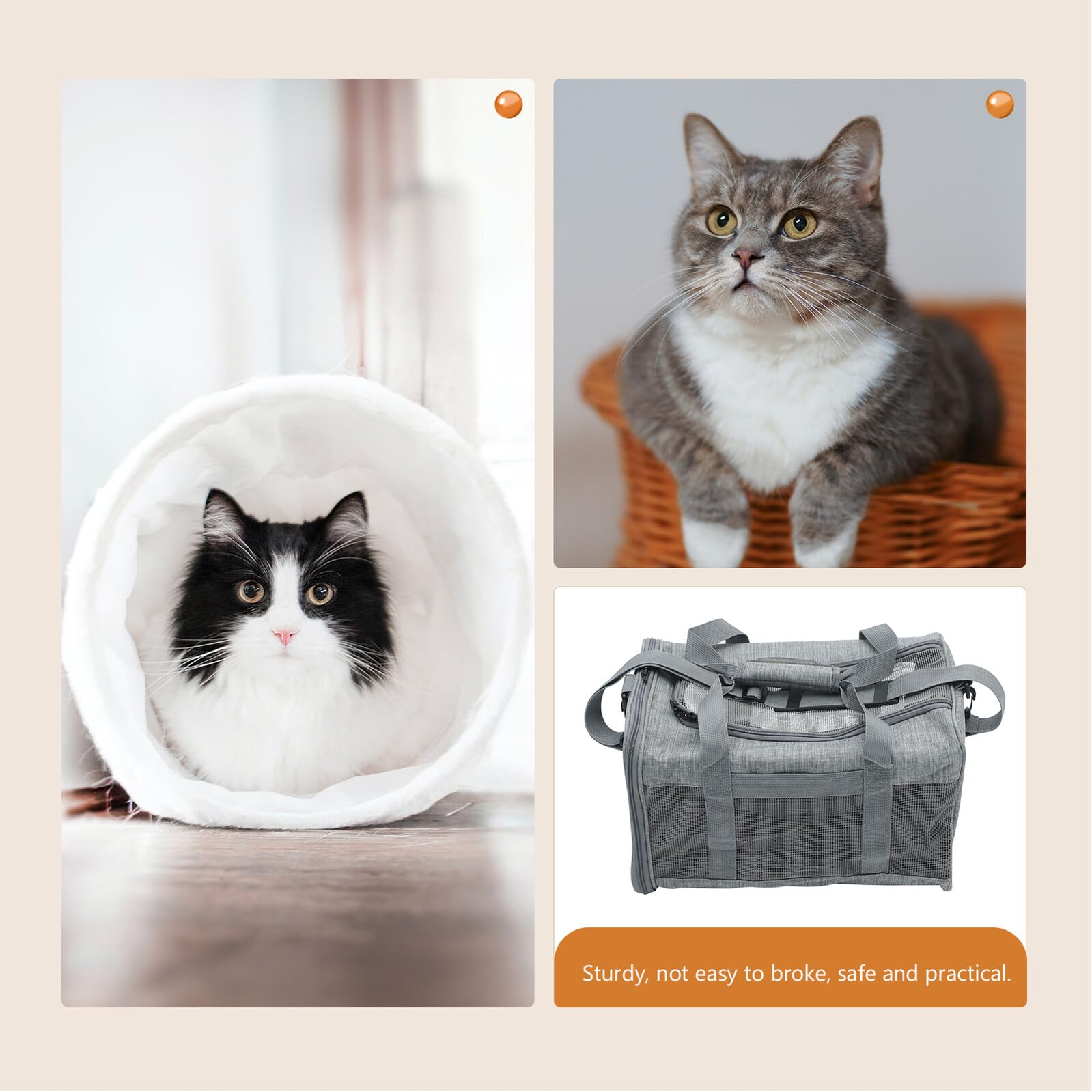 Faltbare Katzen Tragetasche aus Atmungsaktivem Mesh Kleine Haustier transporttasche Wasserabweisend und Robust Handliche Umhängetasche für Sicheren Tiertransport Unterwegs