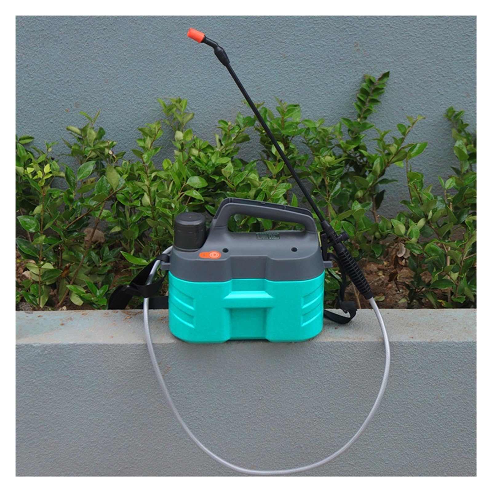 Spruzzatore elettrico, Irrigatore for spruzzatore elettrico, macchina for atomizzazione portatile salva-lavoro con automatico da 5 litri for la fecondazione(D)