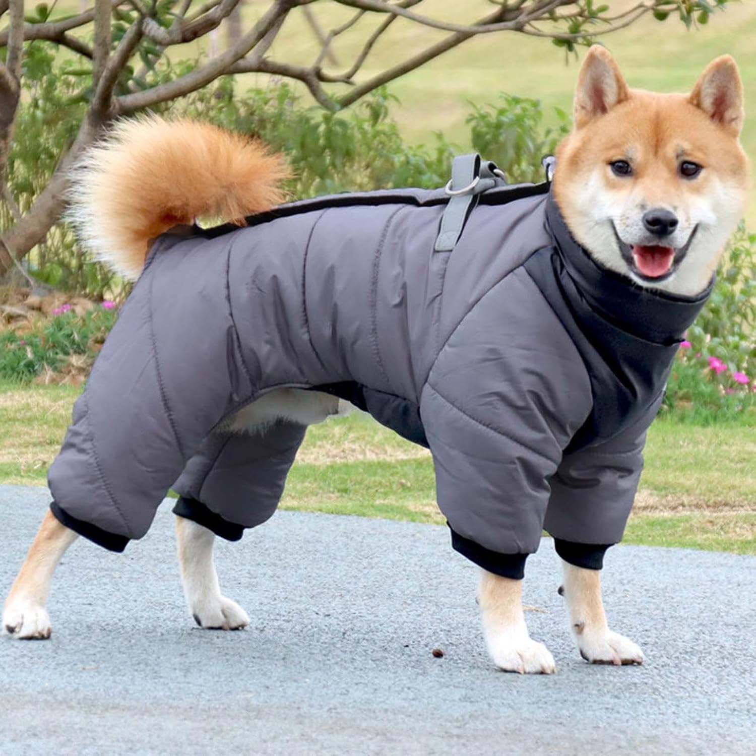 Pet Dog Jumpsuit with Harness, Windproof Waterproof Puppy