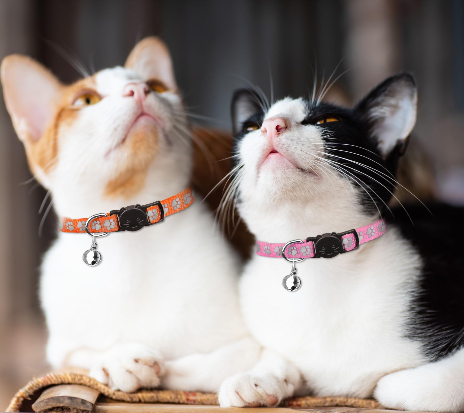 16 collares para gatos con campanas, reflectantes, de nailon, de seguridad, para gatos, para niñas, niños y gatos (6 a 9 pulgadas)