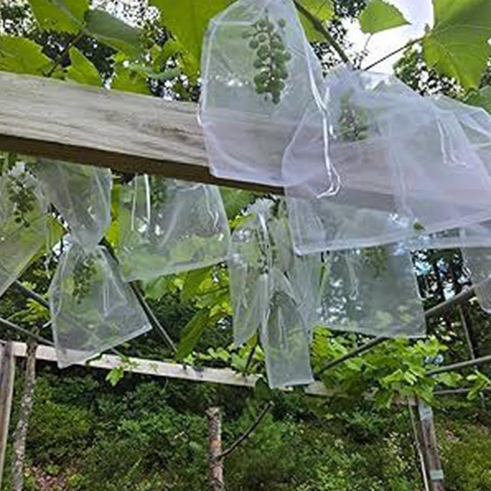 Bolsas de protección de frutas – 100 fundas de red de jardín reutilizables transpirables para árboles frutales con cordón para uvas, tomates, fresas, arándanos, mango, protección de huertos