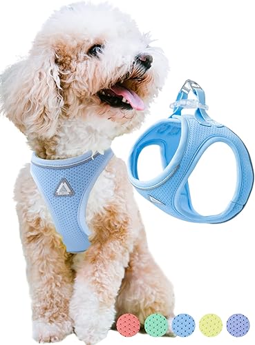 JC HOUSE Arnés para perro pequeño, chaleco ligero sin tirones, sin estrangulamiento, a prueba de escape, arnés de malla de aire suave reflectante