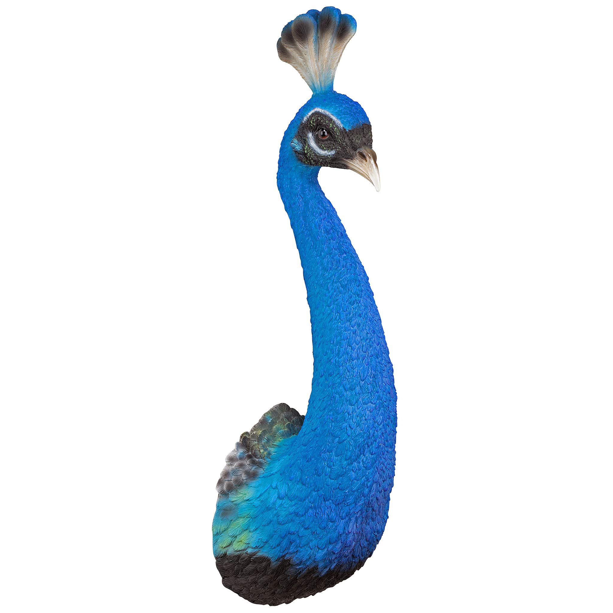 Photo 1 of ***BROKEN IN HALF*** Design Toscano Prized Peacock Wall Sculpture, 27" H, Full Color