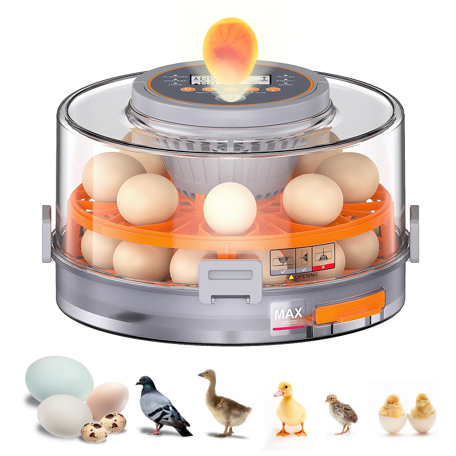 Incubadora totalmente automática, incubadora para 20 huevos con control de temperatura y humedad, giro automático y parada, para pato, gallina, paloma y codorniz