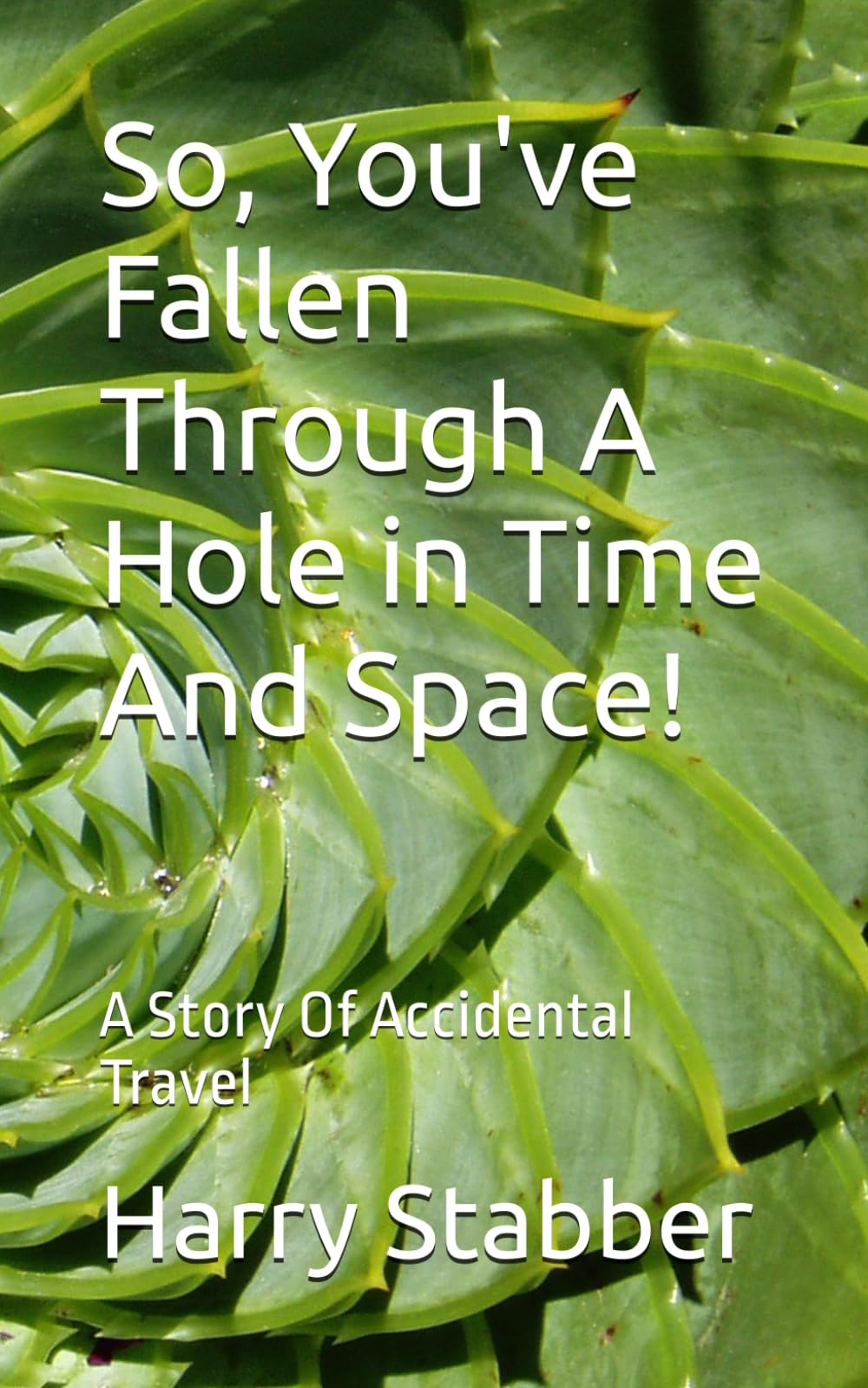So, You've Fallen Through A Hole in Time And Space!: A Story Of Accidental Travel