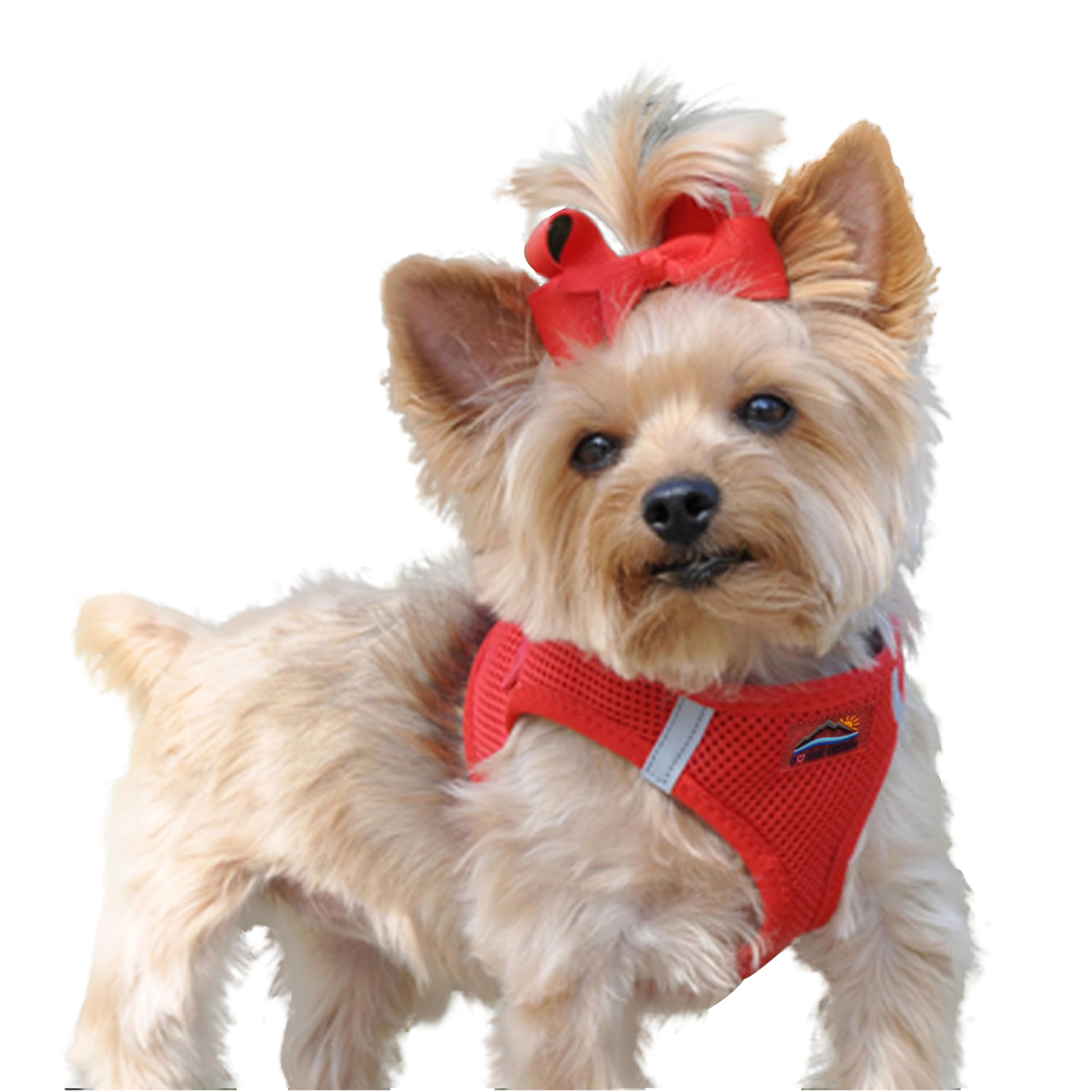 Doggie Design Dog Harness - No Choke Dog Harness, Dog Vest, Mesh Polyester, Pet Harness, Simple Step in and Go Design, Harness for Dog - Red, XS