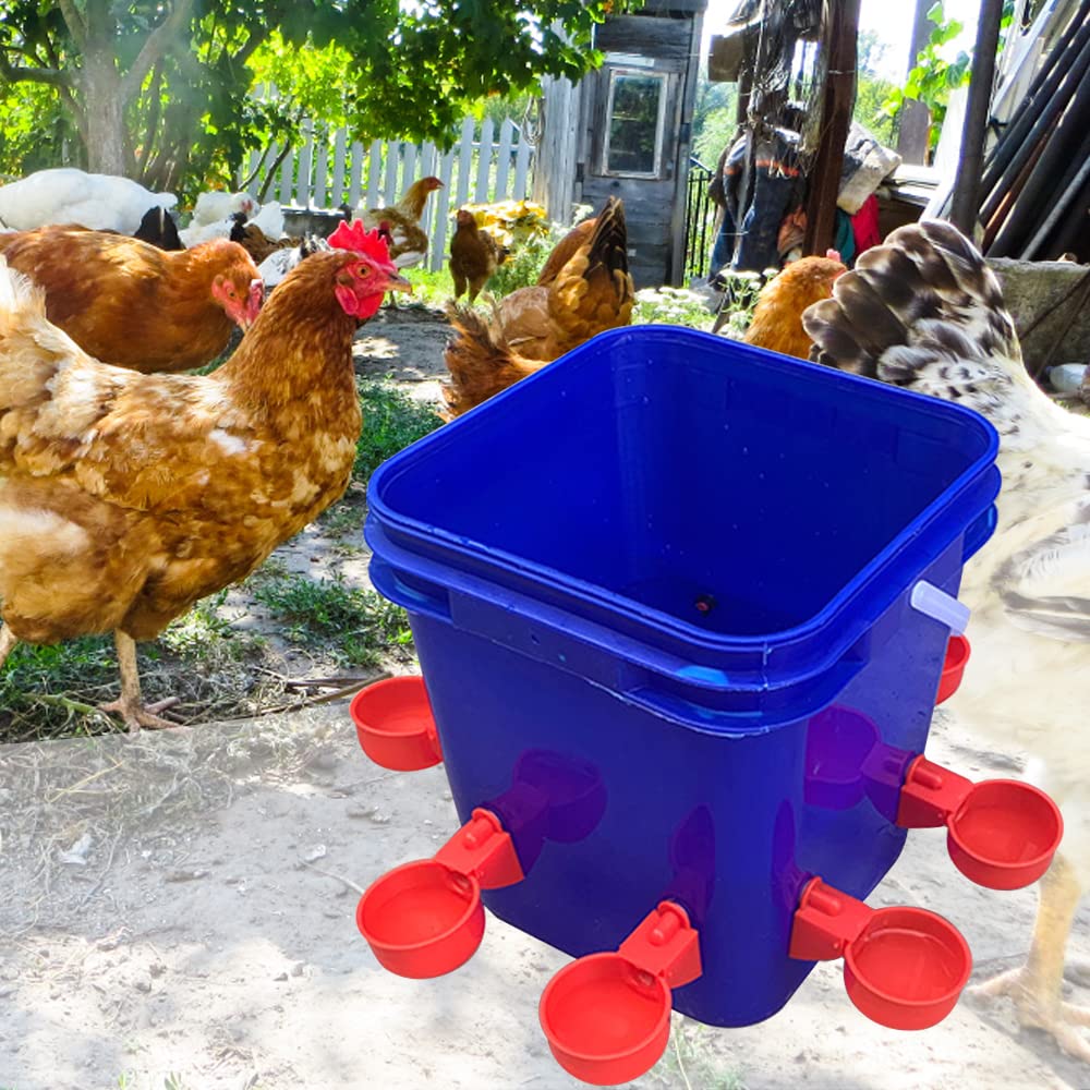 Set Mangiatoia E Abbeveratoio Per Polli 6kg + 6lt - Distributore Automatico Per Pollame, Plastica Semitrasparente