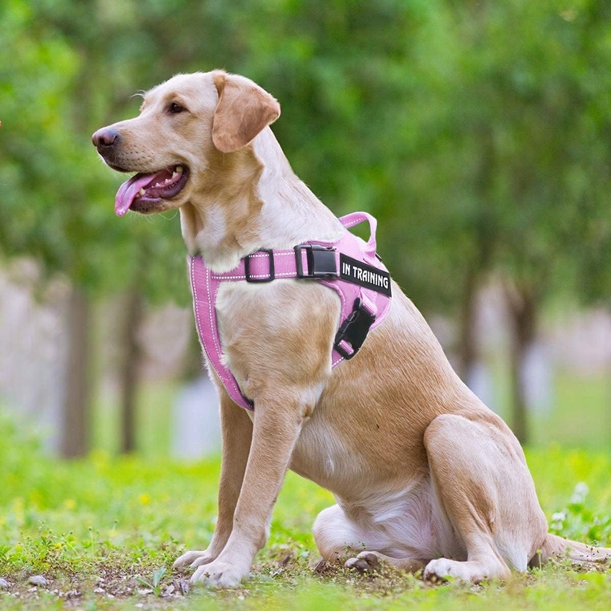 Dog Harness Personalized Name Phone Tags with Custom Patch, No Pull Pet Vest Easy Control for Walking Training for Small Medium and Large Breed(Pink-XL)