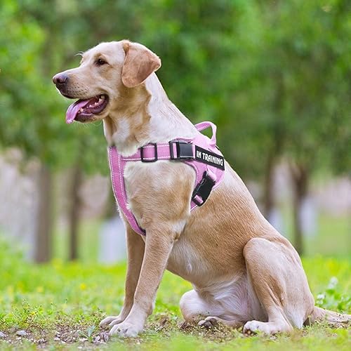 Miniatura 3 de Arnés para perro con nombre personalizado con parche personalizado, chaleco para mascotas sin tirones, fácil control para entrenamiento de caminatas