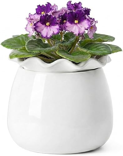 Maceta de riego automático, mantenimiento de macetas de violeta africana de 6 pulgadas, maceta de cerámica con riego automático para plantas de