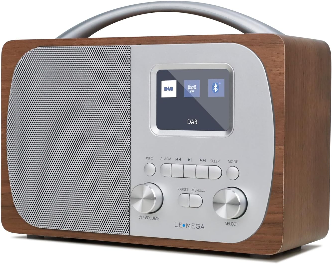 LEMEGA DR5 Portable DAB/DAB+ Digital Radio,Bluetooth Speaker with FM ...