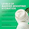 Crema de Ácido Hialurónico y Semilla de Té Verde de innisfree con Complejo Fortalecedor de la Barrera Cutánea y Ceramida, Hidratante Facial Coreano Disponible en Sets y Tamaño Jumbo 3