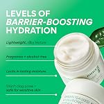 Innisfree Graine de thé vert Crème acide hyaluronique avec complexe de renforcement de la barrière de peau & Céramide, Hydratant hydratant visage coréen hydratant"