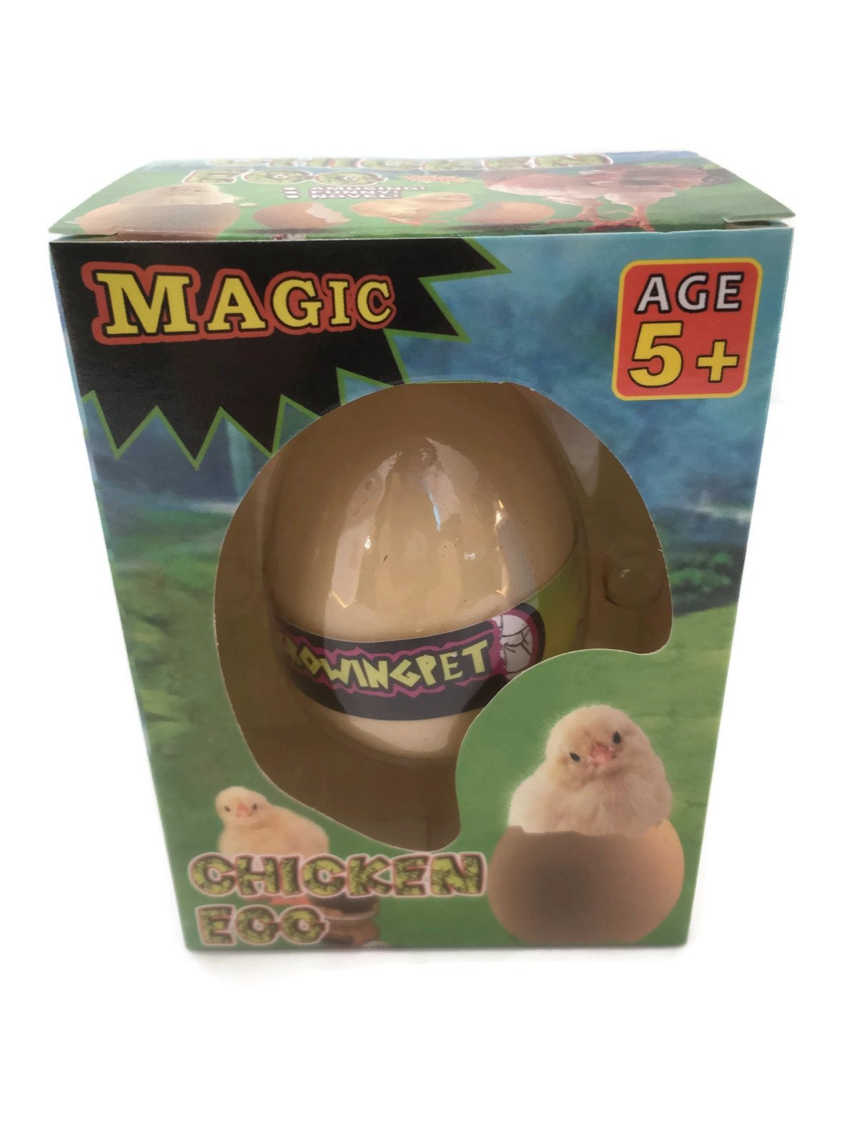 hatching chick egg toy