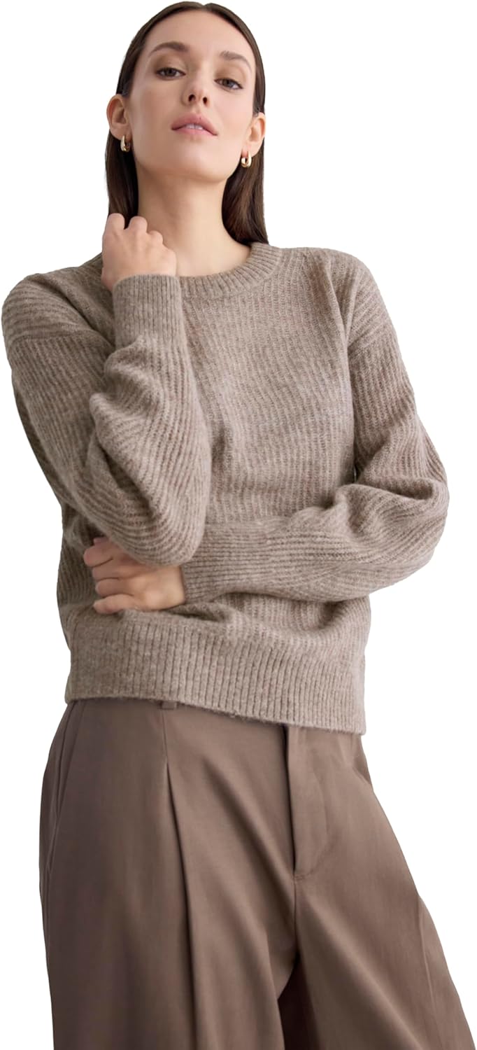 Everlane Women's Alpaca Cocoon Crewneck Sweater