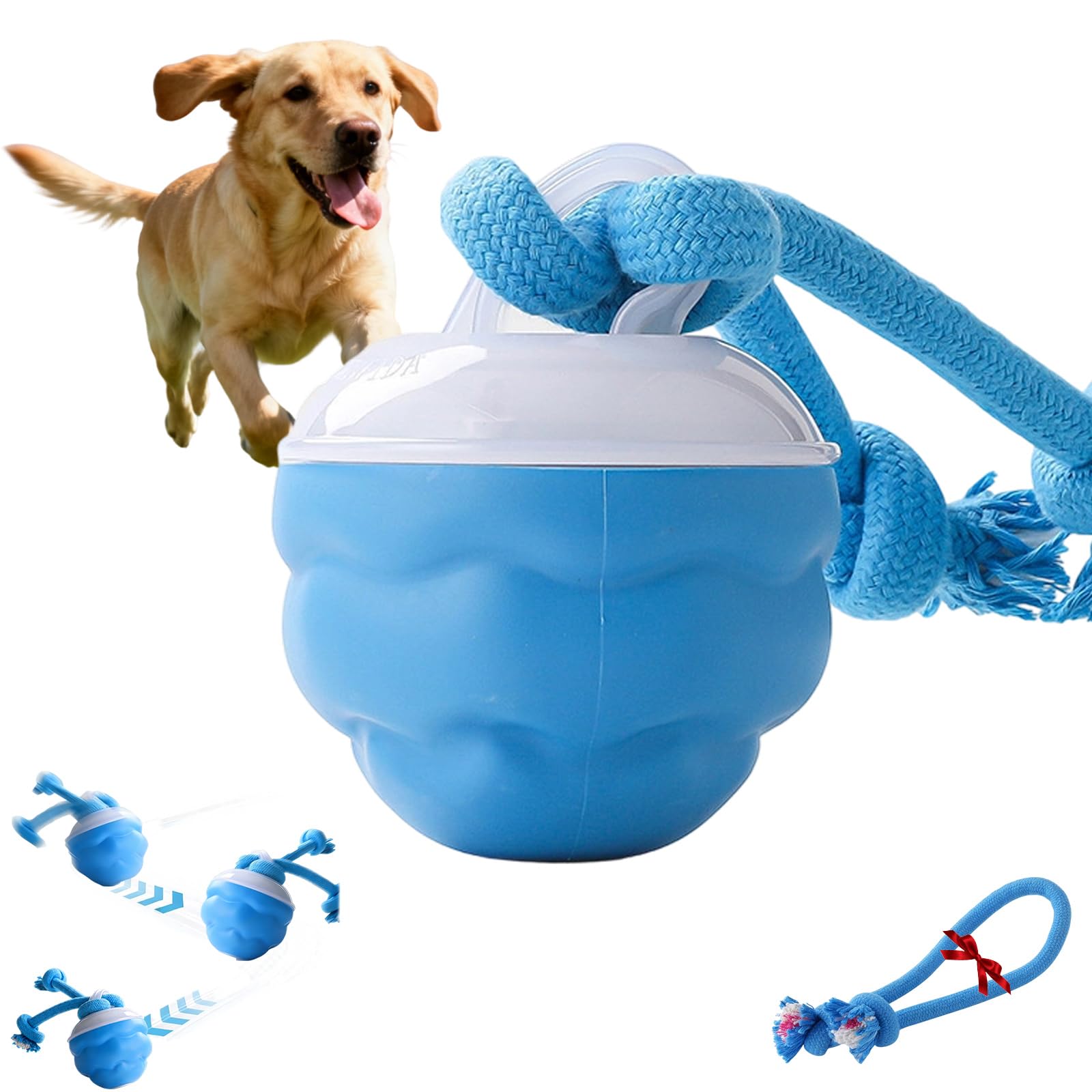 Snrtevu Chase Buddy Dog Toy, Interactive Dog Ball Toy, USB-Charged Moving Toys for Dogs, Keep Your Dog Calm, Engaged & Satisfied, Durable Chewable Squeak Dogs Ball Teething Toys (1PC-BLUE)