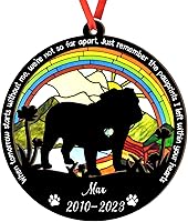 Vista 14 de Adorno de atrapasoles de setter irlandés personalizado, adorno de Navidad de Setter irlandés, regalo para perro amante, setter irlandés