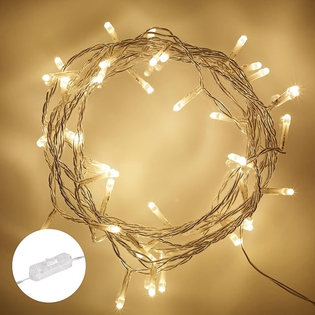 Lights4fun Indoor Fairy Lights with 50 Warm White LEDs on 4m of Clear Cable Plug in Rocker Switch