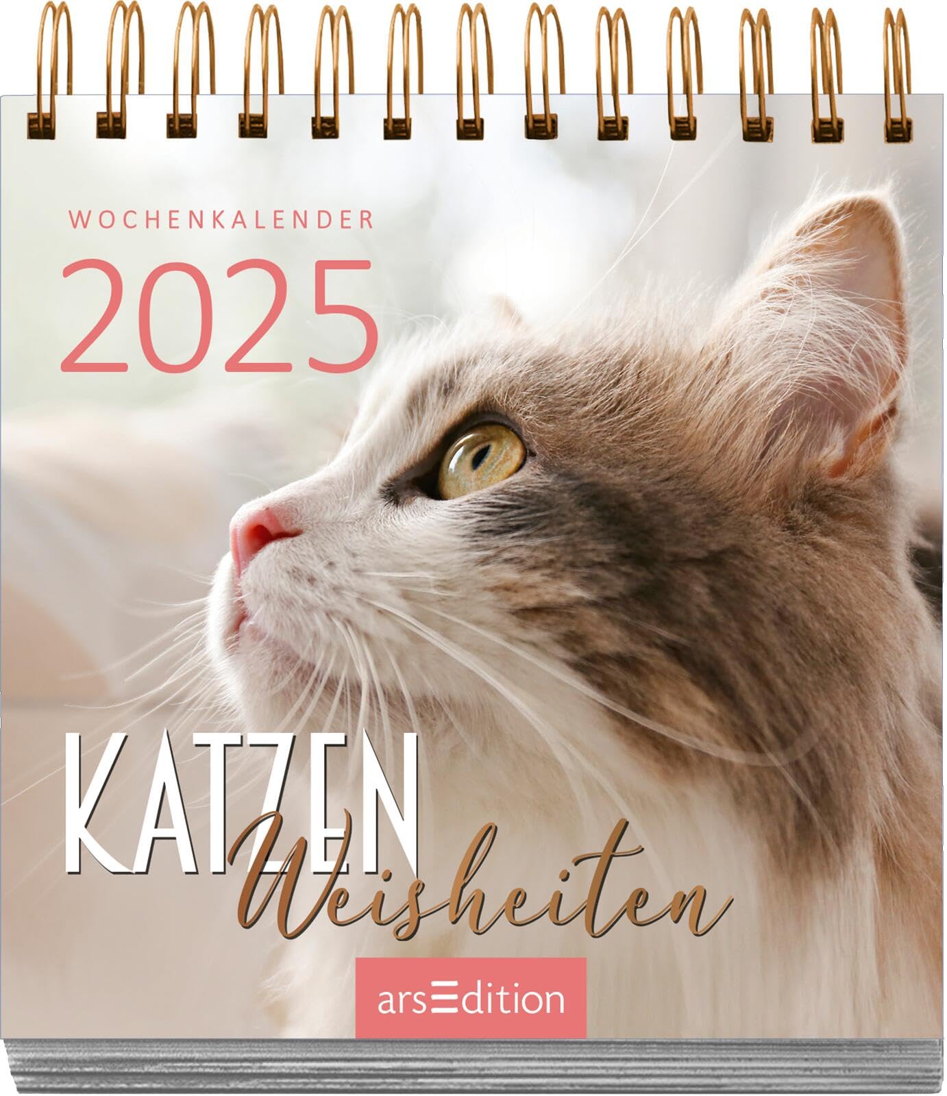 Display Mini-Wochenkalender 2025: Mit 12 x 5 Ex. | Kleine Tischkalender voller Inspirationen für jeden Tag