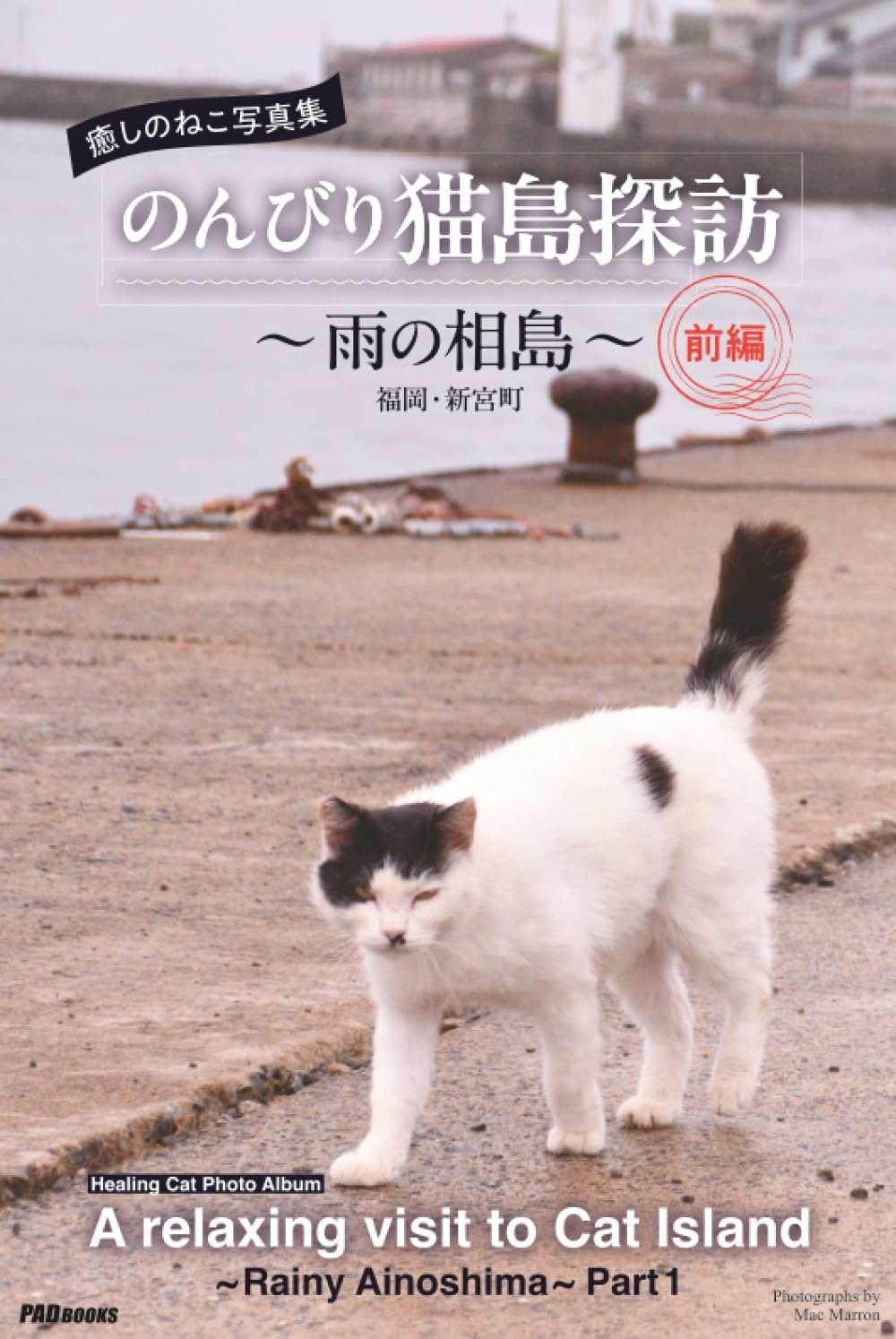 Album photo chat Ainoshima livre d'images relaxant d'île aux chats