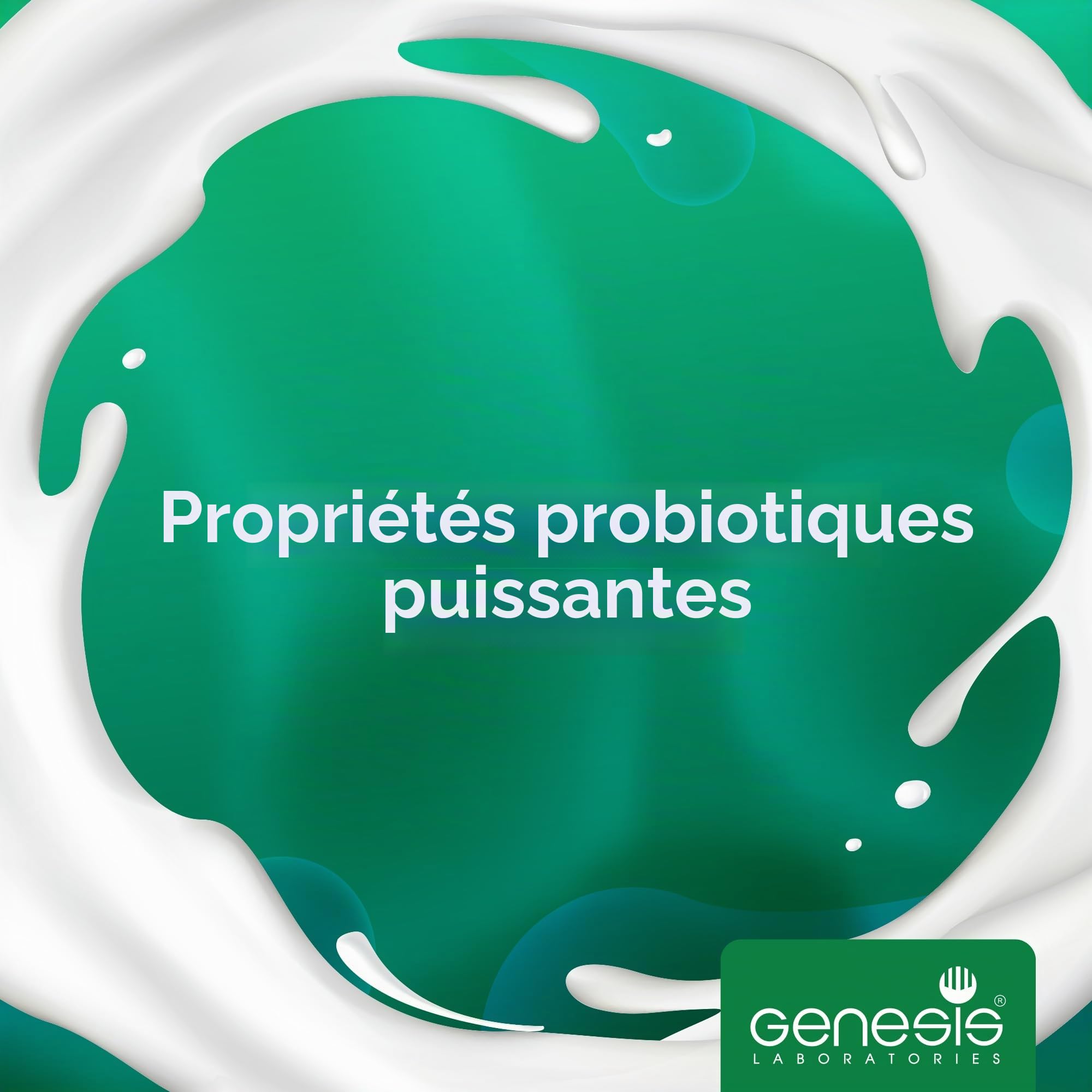 Genesis Starter Culture pour la préparation artisanale de kéfir -pour et de 50L