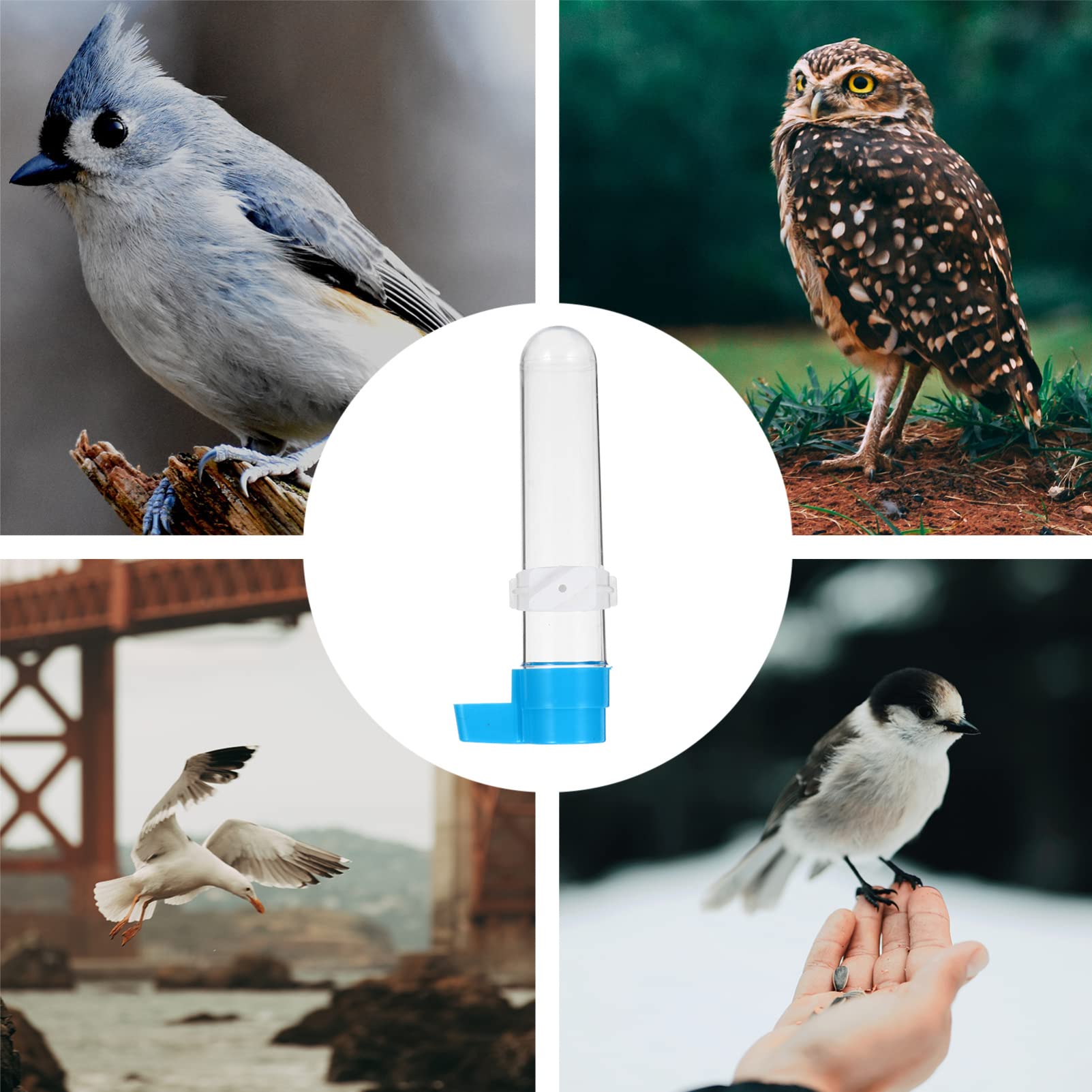 Balacoo 10pcs Cockatiel Drinker Water Fountain Ml Bottle Parrots Feeding Container Drinking Parakeets Lovebirds Budgie Bird Feeders Dispensers Pet Automatic Birds Cage Plastic Containers