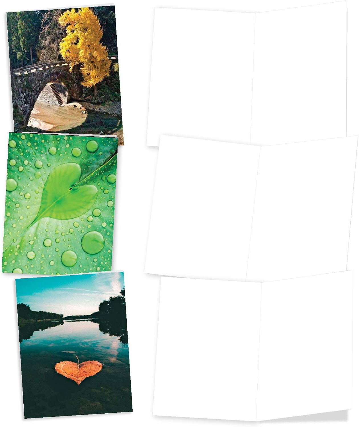The Best Card Company - 10 Blank Heart Note Cards Boxed (4 x 5.12 Inch) - All Occasion Heartfelt Love Card Assortment - Heartscapes AM6838OCB-B1x10 - Image 3