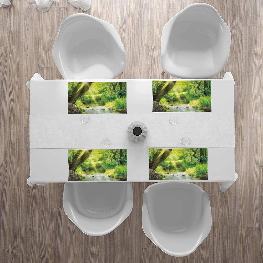 Placemats Table Place Mats,Forest,Stream Cascade in Tropical Forest among Trees Jungle Woodla,Countertop Protection Heat Resistant Washable Easy to Clean Non Slip Thick Nonstick Pastry Mats (Set of 4)