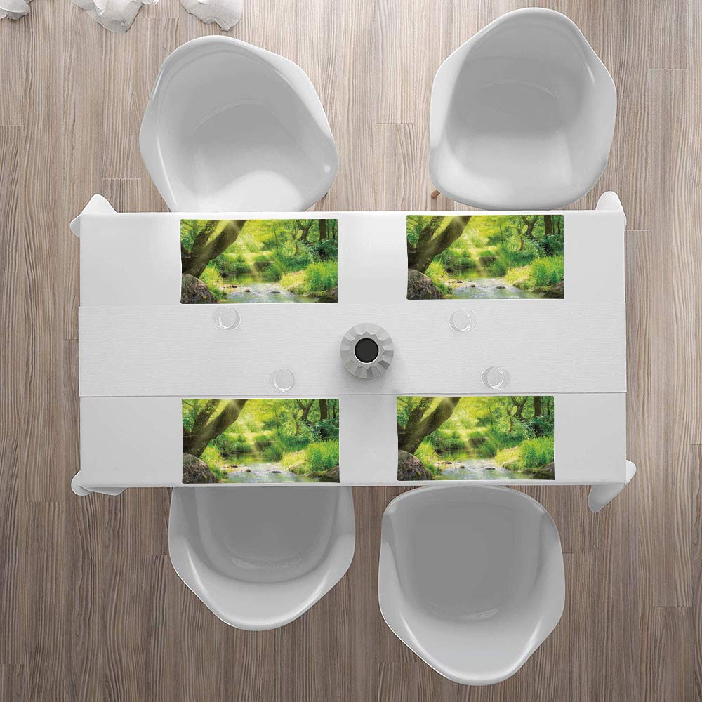 Placemats Table Place Mats,Forest,Stream Cascade in Tropical Forest among Trees Jungle Woodla,Countertop Protection Heat Resistant Washable Easy to Clean Non Slip Thick Nonstick Pastry Mats (Set of 4)