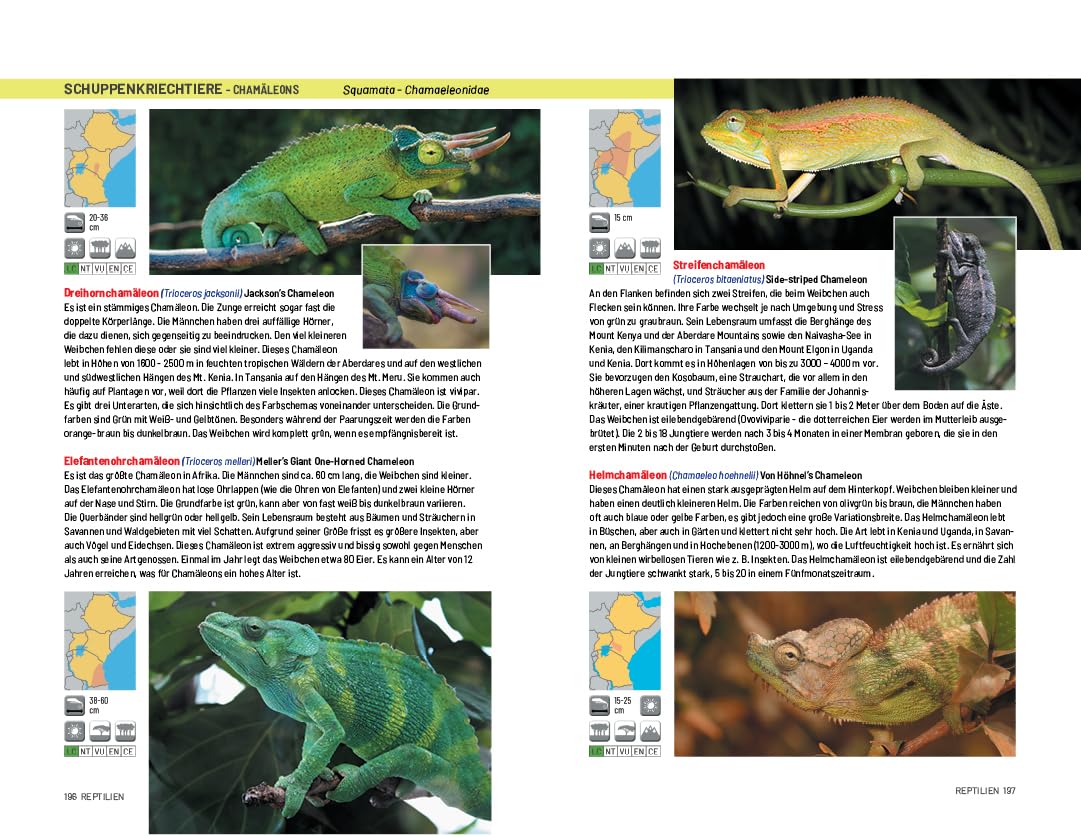 Safari-Reiseführer Ostafrika: Wenn Sie wissen möchten welches Tier Sie vor der Linse haben!: Äthiopien, Kenia, Uganda und Tansania. Säugetiere, ... Reptilien, Vögel und Nationalparks)