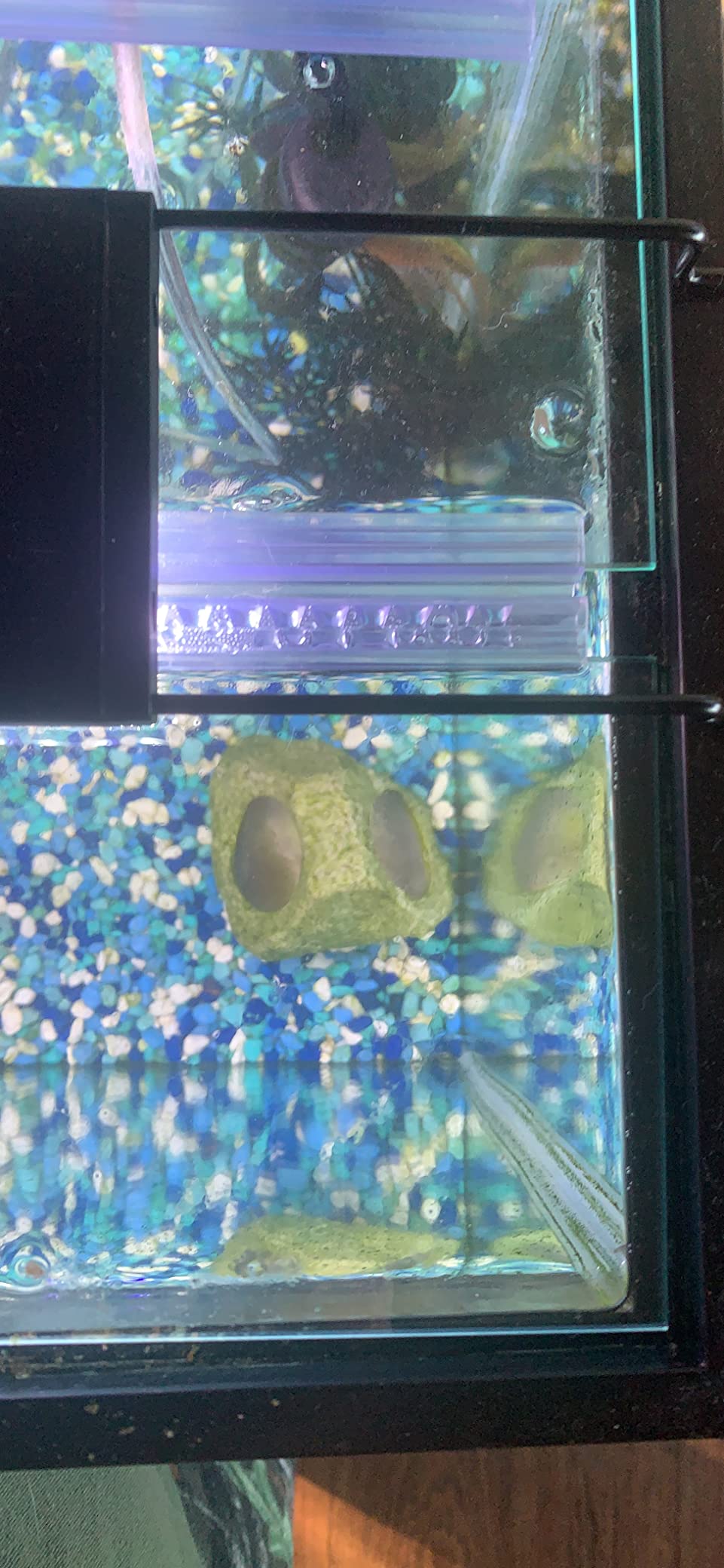 9/mo Finance H2Pro 24" Glass Canopy for 15/20/ 55Gallon Marineland