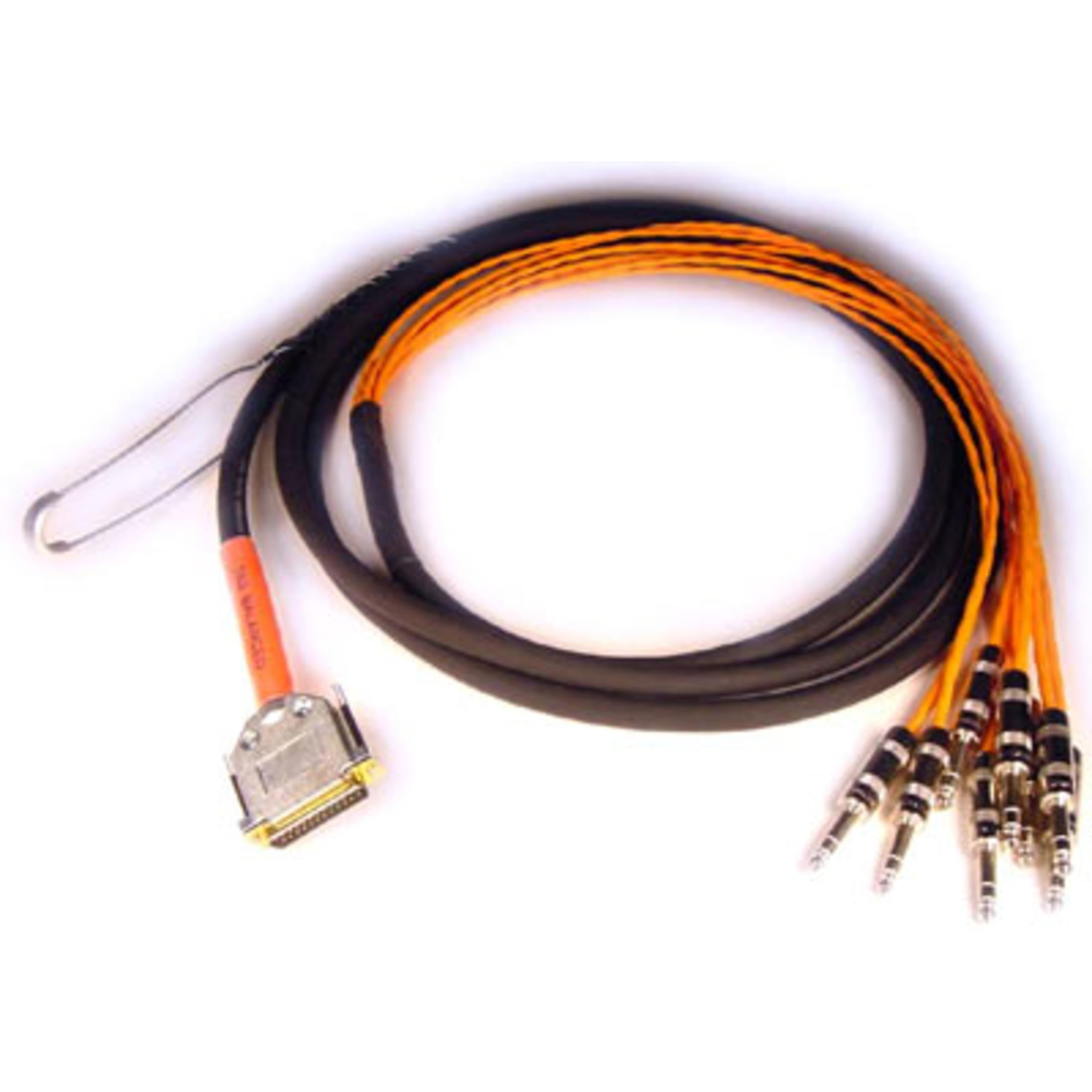 Avid Faisceau de câblage DigiSnake DB25-TRS 12ft