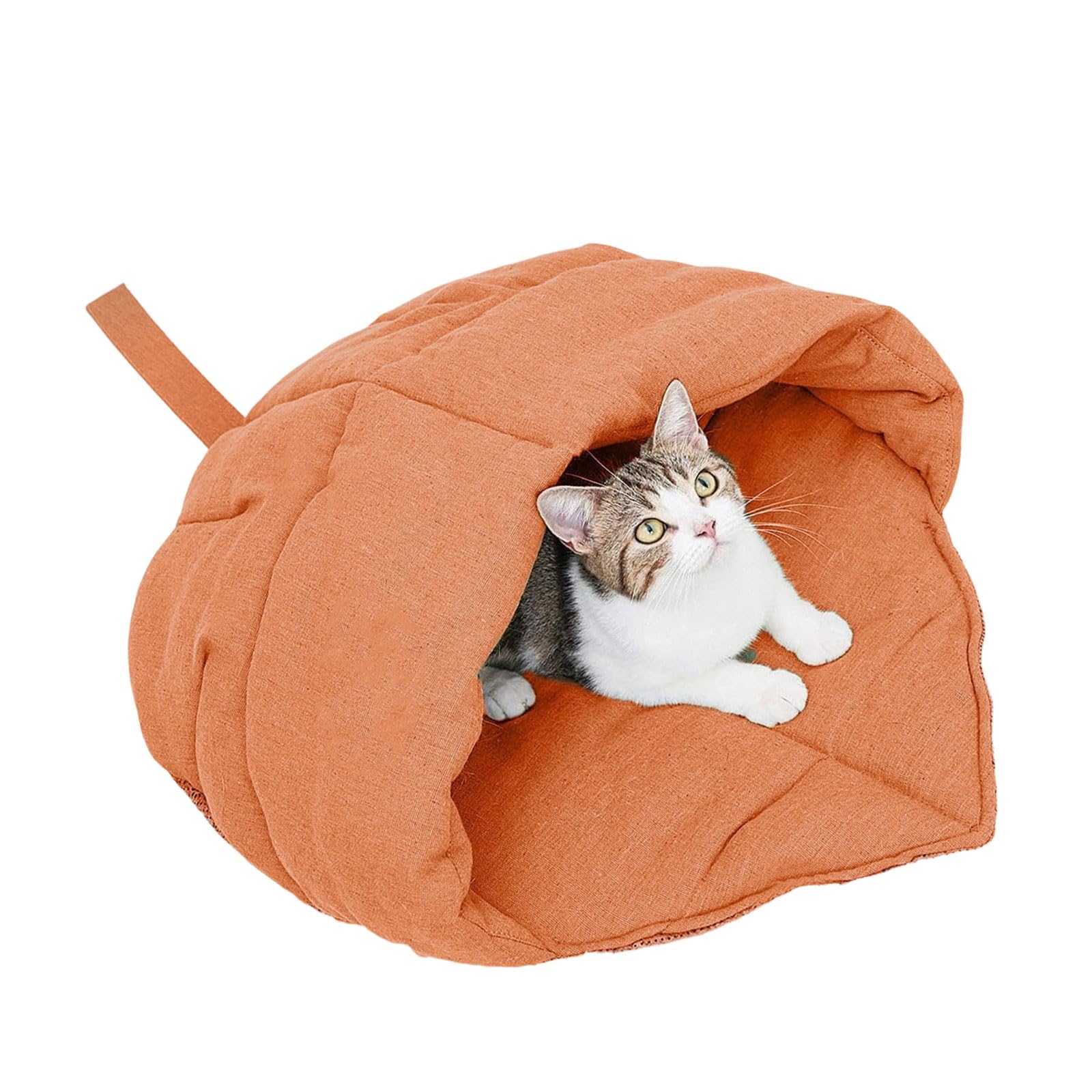 Lit pour animaux de compagnie doux et lavable pour petits chiens