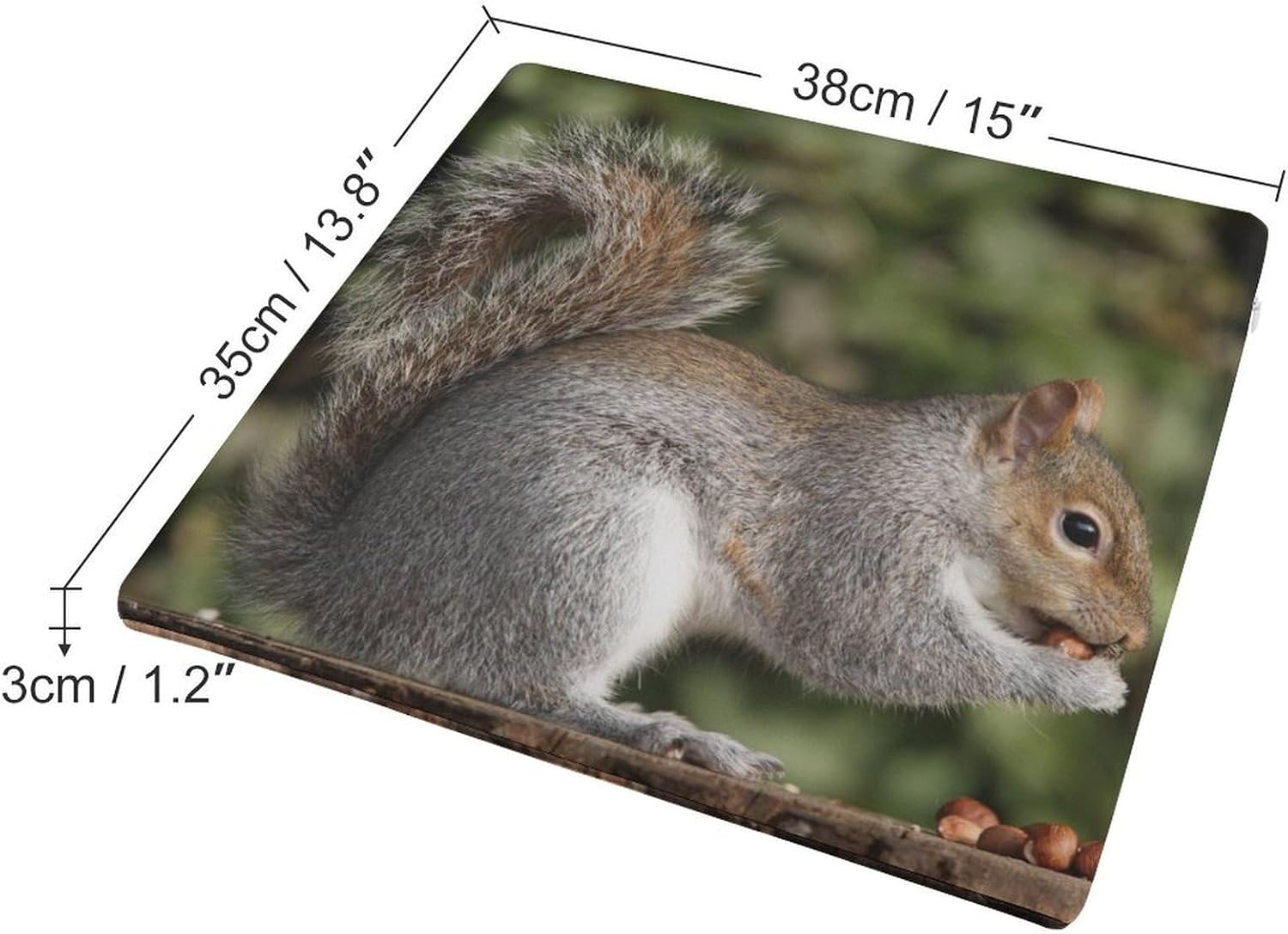 Squirrel Chair Cushion Memory Foam Breathable Chair Pads Square Large Pillows Seating Comfort Meditation Floor Pillow Car Seat Cushion for Indoor/Outdoor Chairs