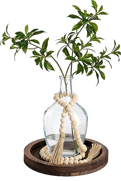 Boho Glass Vase and Wood Tray Set