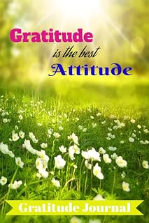 Gratitude is the best Attitude: A 90 day interactive gratitude journal for self-reflection journaling