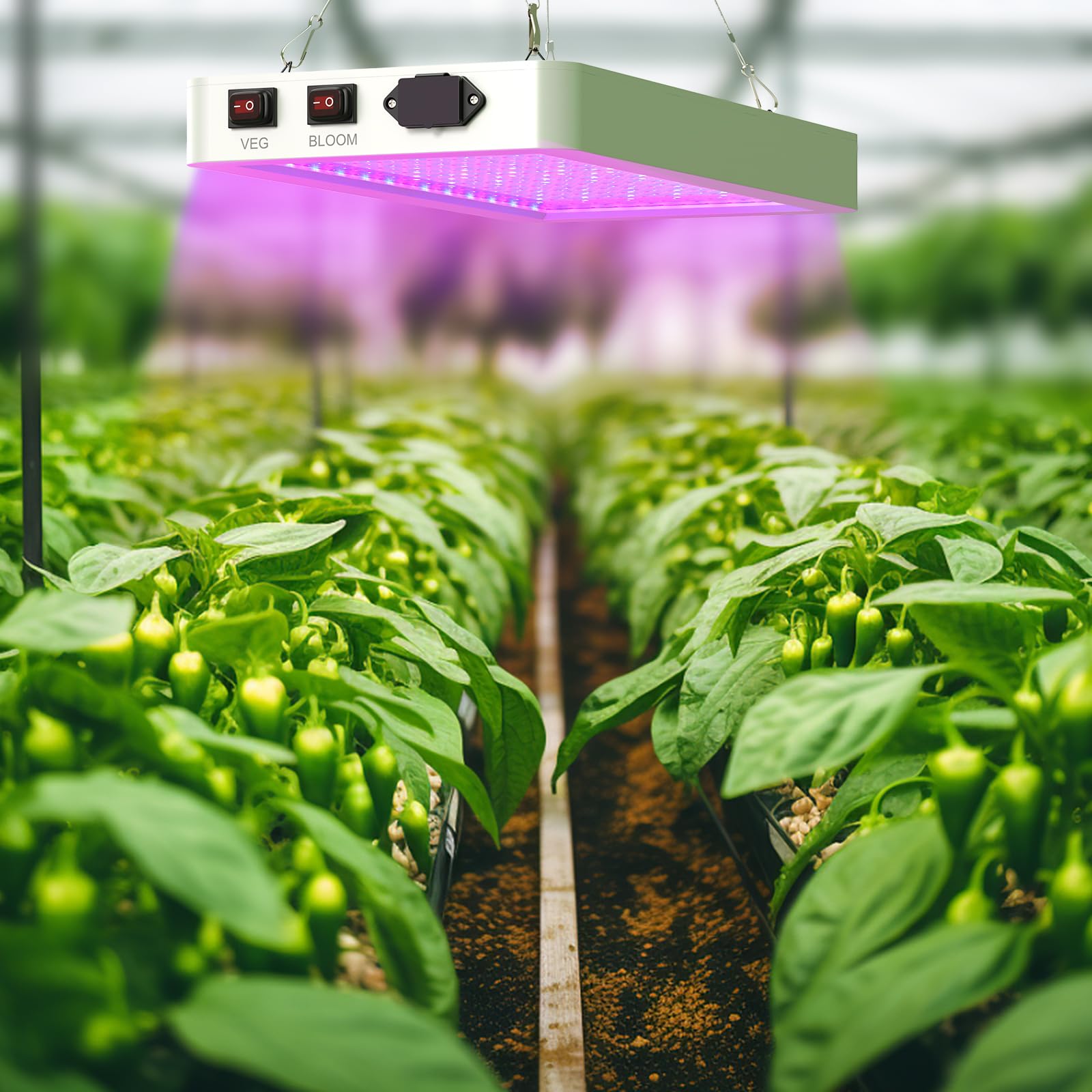 Lixada Lámpara para Plantas 80W (216 LEDs), Lámpara de Crecimiento de Plantas de Espectro Completo, Espectro Completo Impermeable, para Ipara Semillas, Flores, Invernaderos y Jardinería de Interior