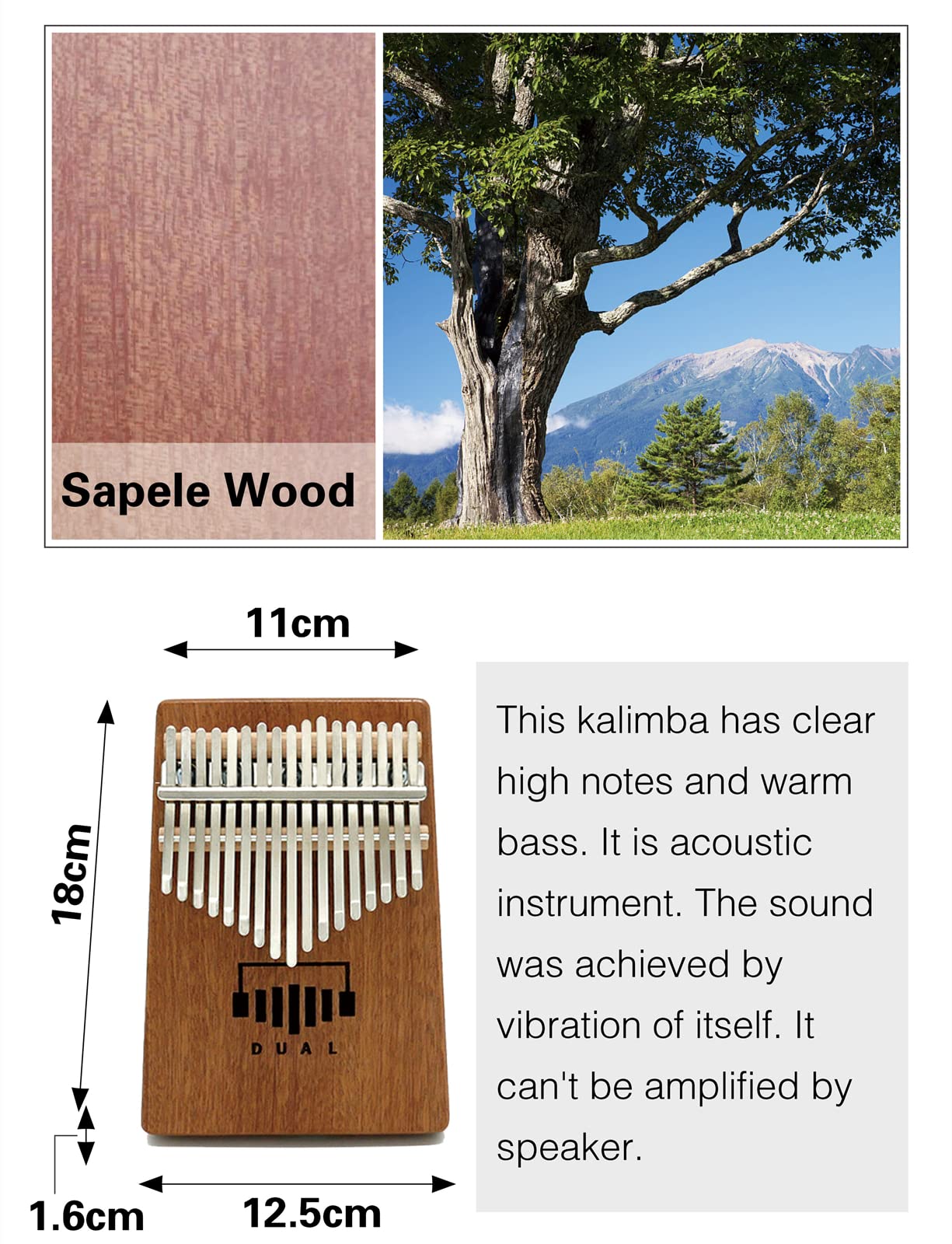 定番 Dual アコースティックカリンバ _ B調 ボックスタイプ i9tmg.com.br
