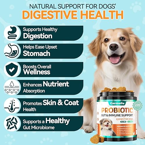 Miniatura 2 de Carmelie Probióticos para perros, 200 masticables suaves, probióticos digestivos y enzimas para la salud intestinal con calabaza, fibra para perros,