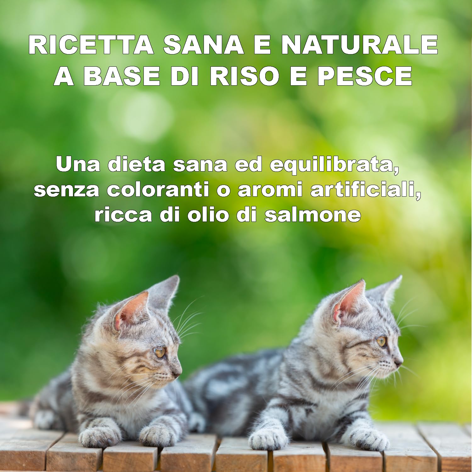 GREENHEART-PREMIUMS | Crocchette per gatti anziani | SENIOR CON PESCE E RISO | Senza Glutine | Prodotto Premium | 100% Ingredienti Naturali | Senza Coloranti Aromi e Antiossidanti Chimici (1,5 kg)