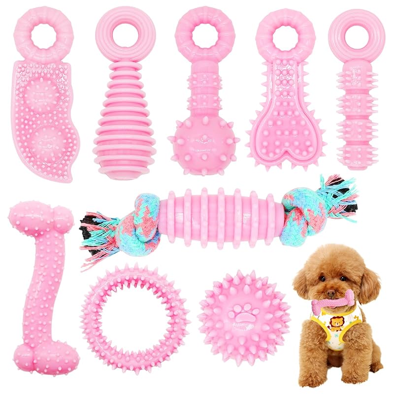 Brinquedos para Mastigar para Filhotes e Cães Pequenos em Borracha Natural CGBD Pink, Pacote com 9