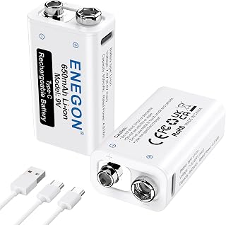 ENEGON 9V 充電式 電池 2個＋2in1 Type-C 充電ケーブル,充電器不要 650mAh 006p電池、Type-C入力、マイク、煙探知器、電子玩具、おもちゃ、トランシーバーなど対応