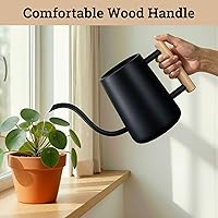 Vista 7 de Regadera de metal de 35 onzas, pequeña para interior, con boquilla larga y mango de madera real para plantas de casa, suculentas, cactus y plántulas
