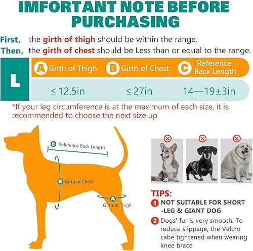 Miniatura 4 de Rodillera para perro para patas traseras, soporte de ACL – Soporte ajustable de doble pierna de perro para aliviar el dolor en las articulaciones,
