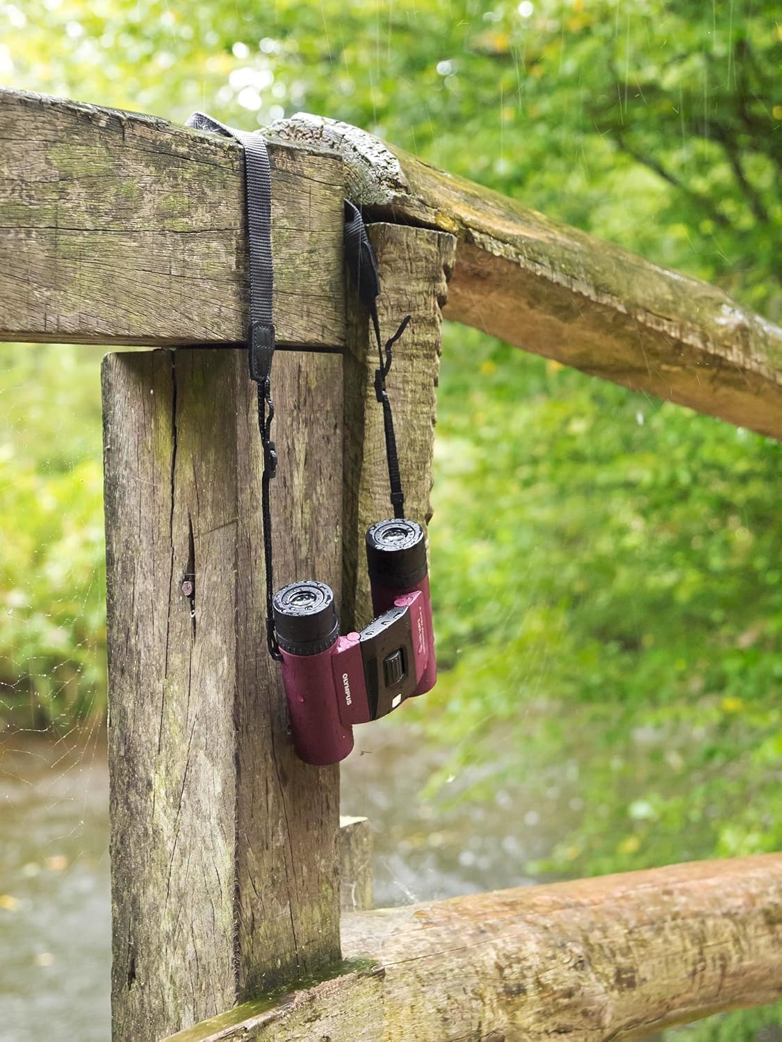 OM SYSTEM Jumelles Sport 8x25 WP II Lilas - Compactes et Étanches | Optiques antibuée haute performance pour randonnée et voyage. Inclus : étui, courroie et capuchons de protection.