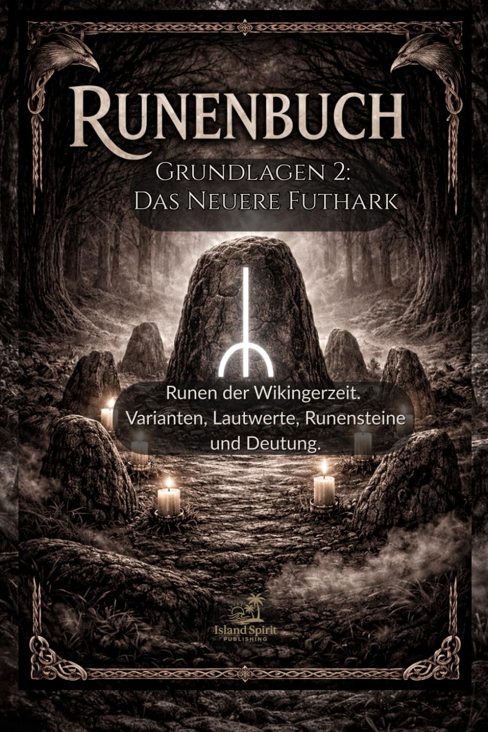 Runenbuch Grundlagen 2: Das neuere Futhark: Runen der Wikingerzeit. Varianten, Lautwerte, Runensteine und Deutung.
