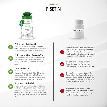 fairvital Fisetin 100mg 90 Kapseln aus japanischem Wachsbaum qualitätsgeprüft und hochdosiert 100% vegan Made in Germany