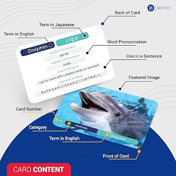 Japanese Vocabulary Flash Cards with Audio 300 Words for Language Study | Back to School Japanese vocabulary cards with audio for language class, homeschool and beginner word practice